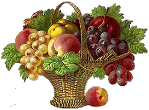 fruit-basket