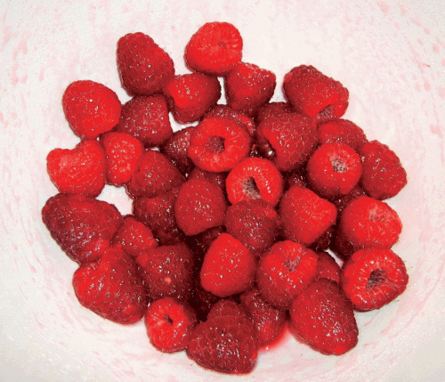 berries-in-a-bowl