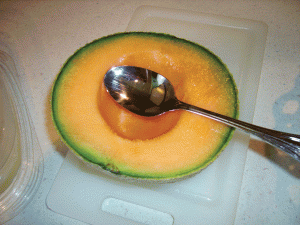 cantelope-scoop-seeds