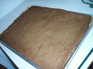 bars-out-of-the-oven