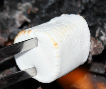 smores-flame