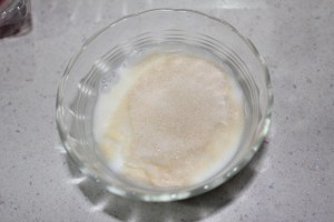panna cotta gelatin