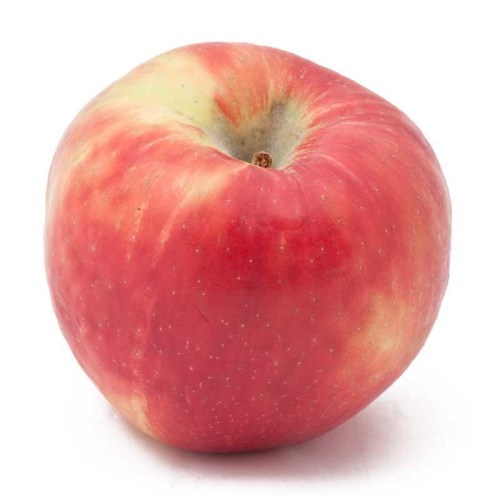 honeycrisp