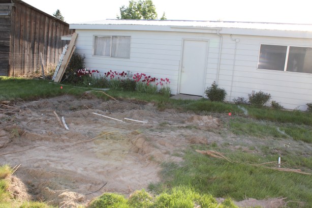 septic broken sprinkler pipe and grass
