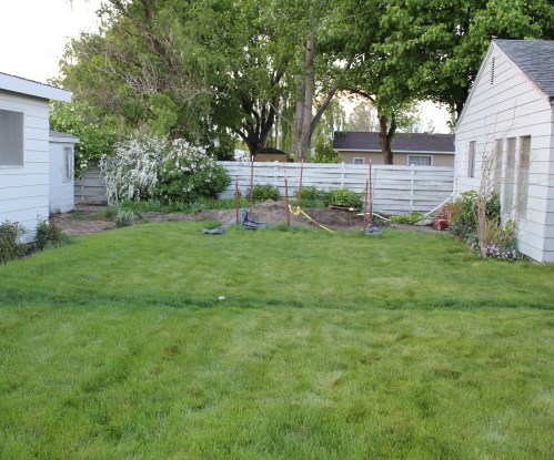 septic grass before destruction