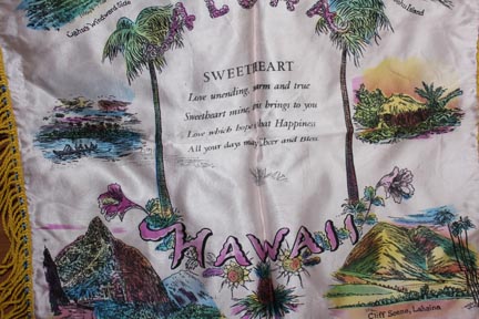 cedar chest hawaii pillow cover