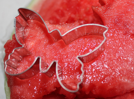butterfly fruit salad watermelon cutout
