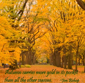 New York City Central Park alley in the Fall.