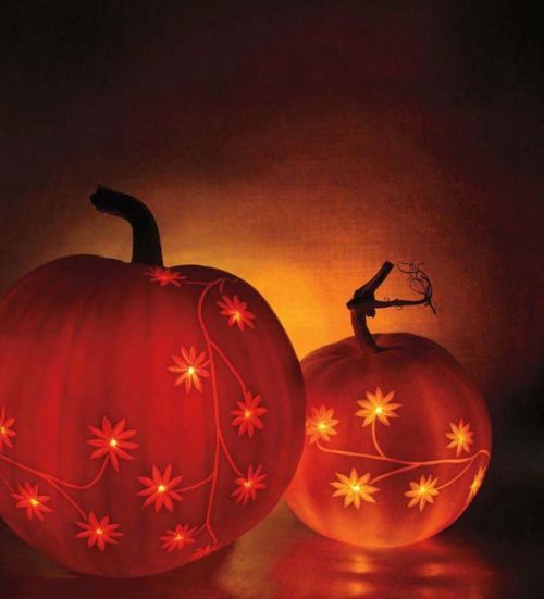 pumpkin party floral pumpkins