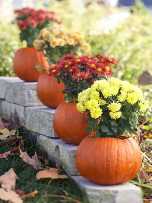 Classic combo of mums and pumpkins - you can't go wrong, especially when you use a variety of colors with the mums.