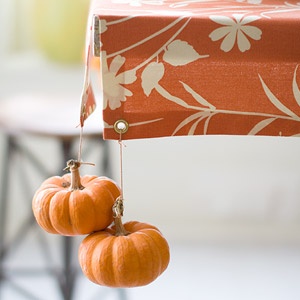 This is such a clever and cute idea using mini pumpkins as table cloth weights.