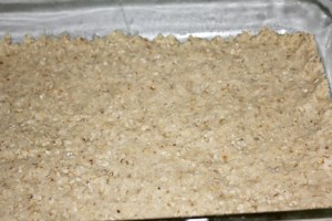 Press half the mixture into a greased 9 x 13 baking dish.