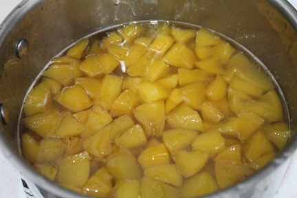 Stir peaches, 1 cup of water and the sugar in a heavy saucepan until sugar dissolves. Bring to a boil, then turn down heat and simmer for about 15 minutes, stirring occasionally, until juice gets thick and syrupy. Remove from heat and let cool.