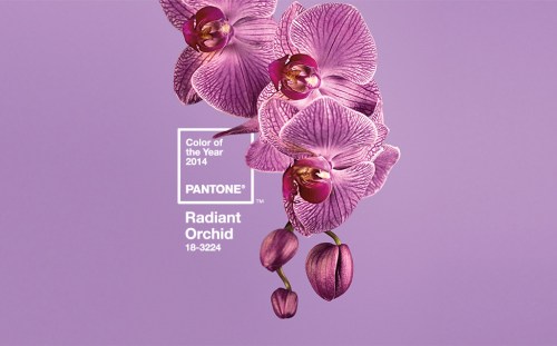 pantone