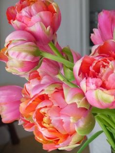 peony tulips