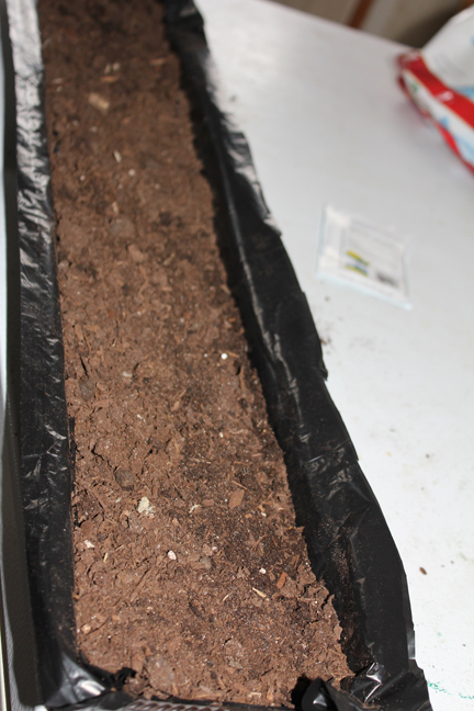 grass tray full of dirt