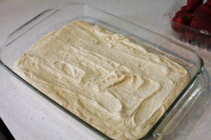 Spoon batter into a 9x13 baking pan that has been greased and floured (or sprayed with non-stick spray). Bake at 350 degrees for about 20 minutes or until toothpick inserted in center comes out clean.